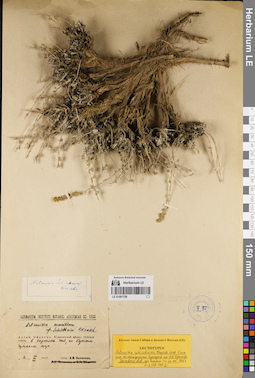 LE 01081788