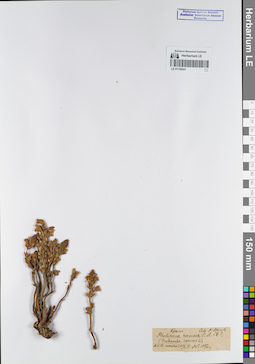 LE 01120241