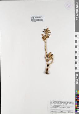 LE 01120284