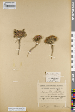 LE 01072890
