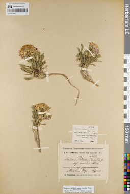 LE 01072892