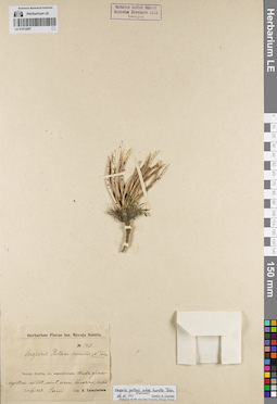 LE 01072897