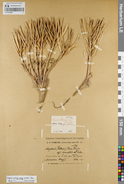 LE 01072899