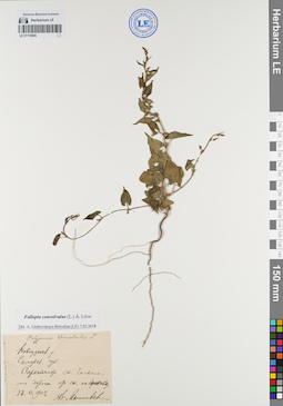 LE 01118085