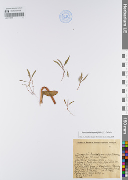LE 01119519