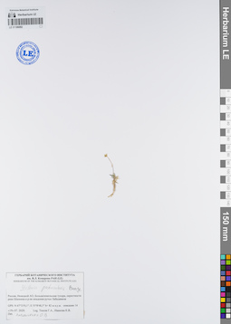 LE 01106092