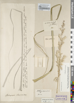 LE 01153081