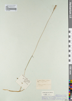 LE 01153210