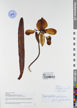 LE 01077344