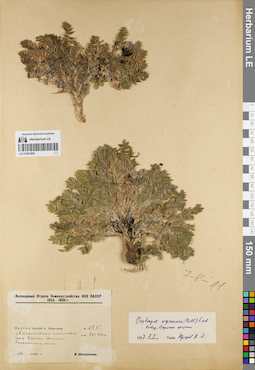 LE 01081806