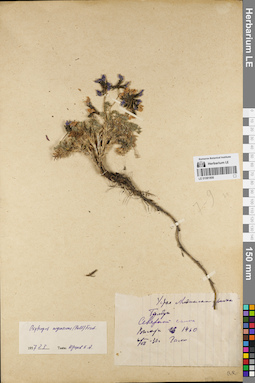 LE 01081808