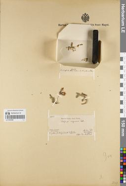 LE 01081809