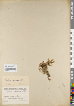 LE 01081828