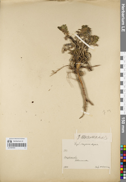 LE 01081834