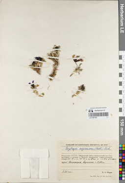 LE 01081838