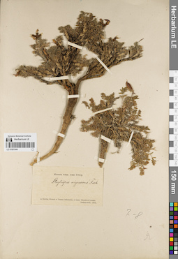LE 01081844