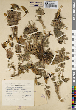 LE 01081856