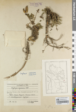 LE 01081857