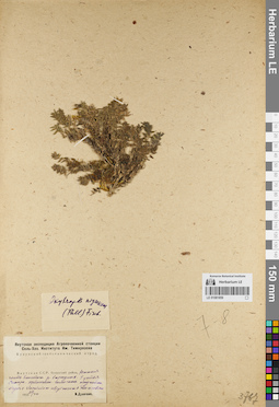 LE 01081859