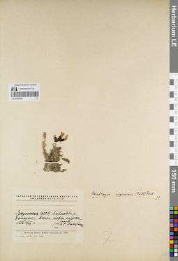 LE 01081865