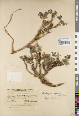 LE 01081866