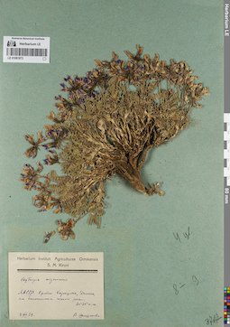 LE 01081873