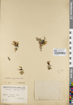 LE 01081875