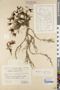 LE 01081876
