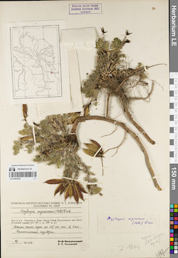 LE 01081878