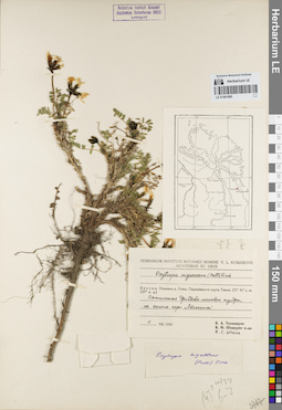 LE 01081880
