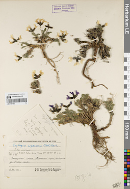 LE 01081882