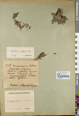 LE 01081885