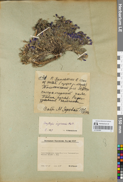 LE 01081887