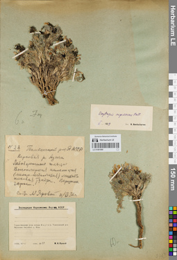 LE 01081890