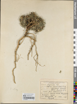 LE 01081891