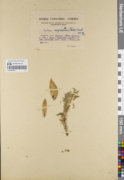 LE 01081892