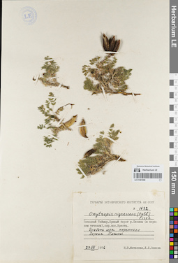 LE 01081898