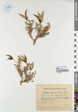 LE 01081908