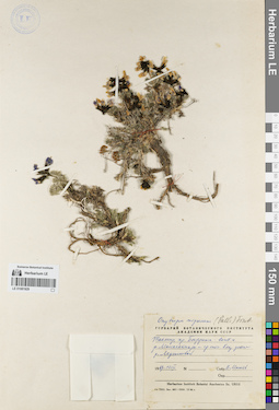 LE 01081929