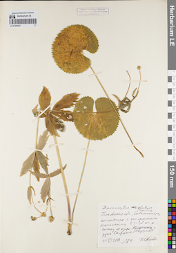 LE 01085403