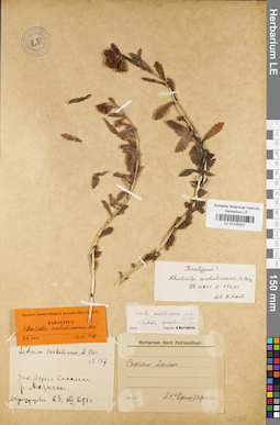 LE 01035927
