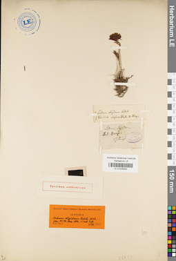 LE 01035930