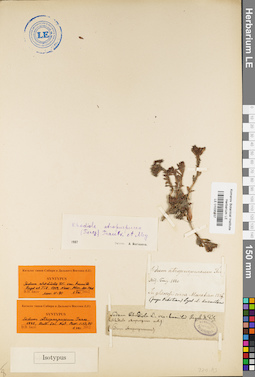 LE 01035937