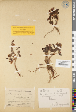 LE 01035966