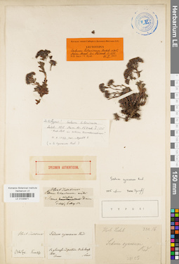 LE 01035971