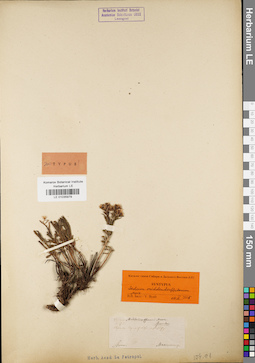 LE 01035979