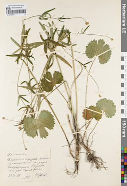LE 01085723