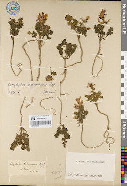 LE 00052270