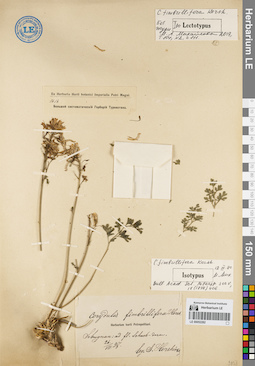 LE 00052282