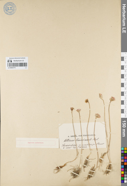 LE 00053775